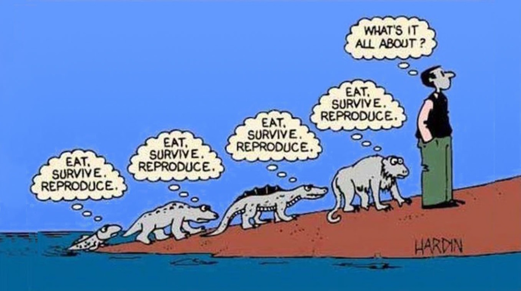 evolution