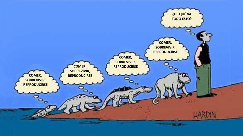 evolucion